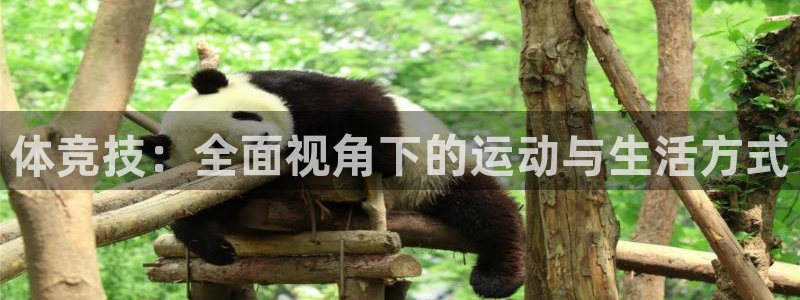 完美电竞世界平台下载