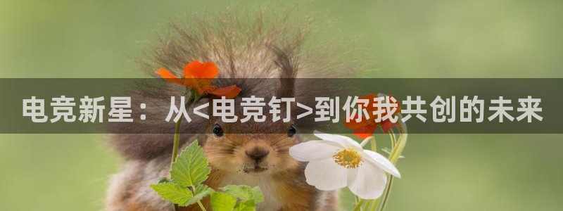 完美电竞app下载