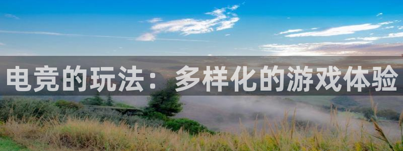 cs完美电竞平台