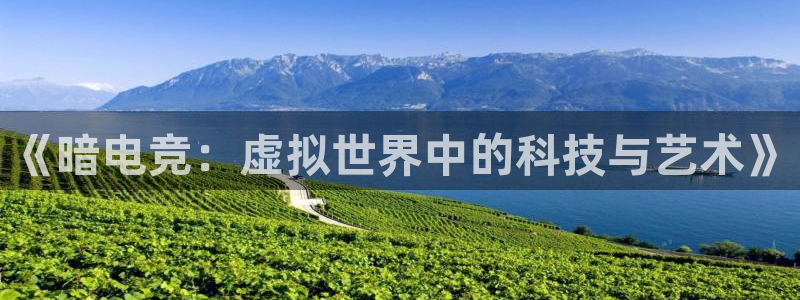 完美电竞世界平台