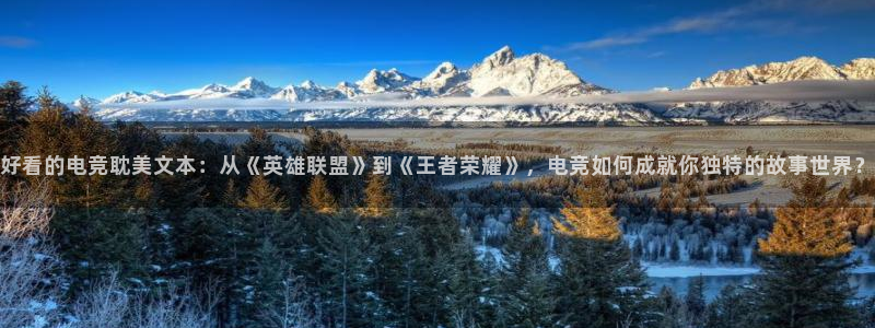 完美电竞竞技平台