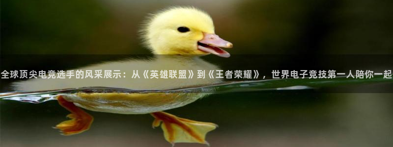 完美电竞app下载