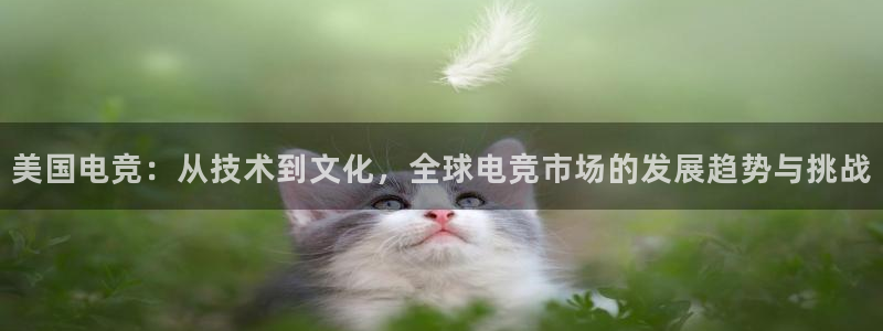 完美电竞注册
