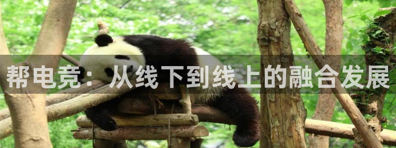 完美电竞平台官网网址