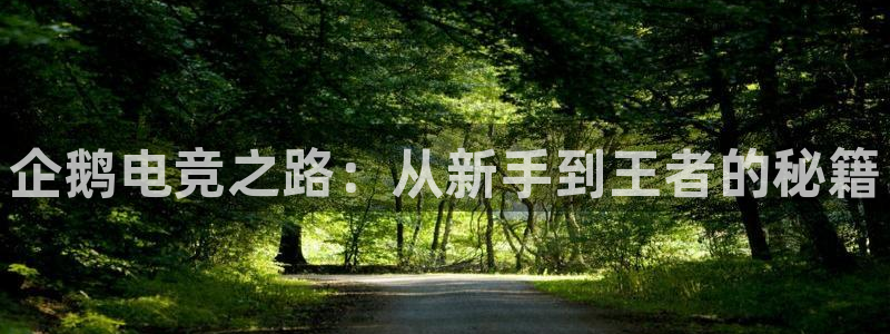 csgo完美电竞平台