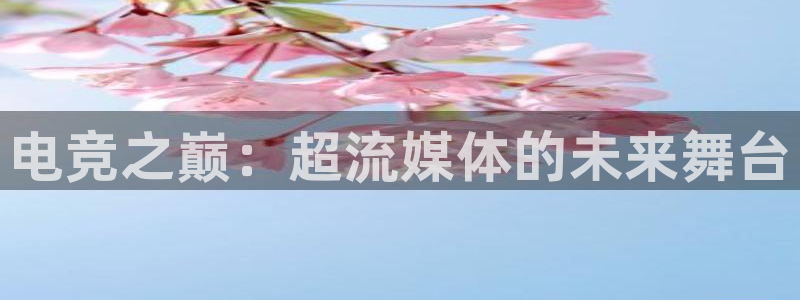 完美电竞官网盛大升级