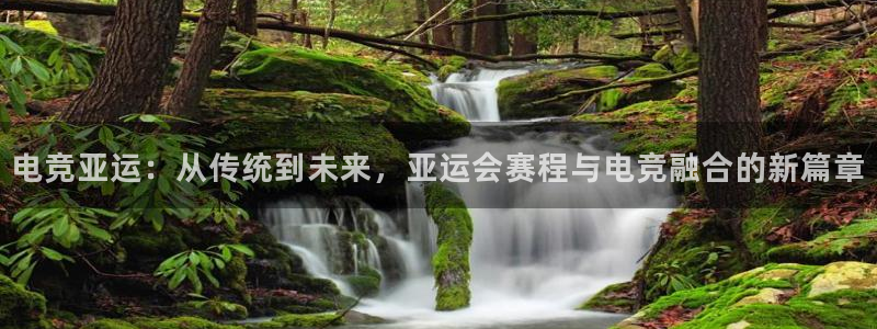 完美电竞官网