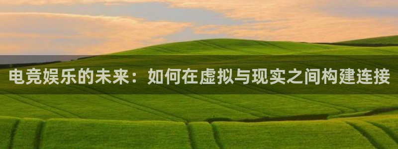 完美电竞app