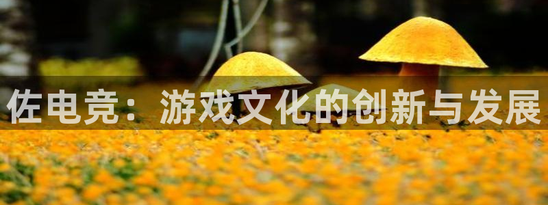 完美电竞平台官网：佐电竞：游戏文化的创新与发展