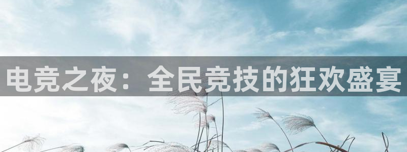 完美电竞大会员：电竞之夜：全民竞技的狂欢盛宴