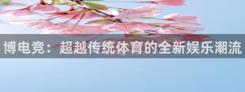 完美电竞联赛：博电竞：超越传统体育的全新娱乐潮流