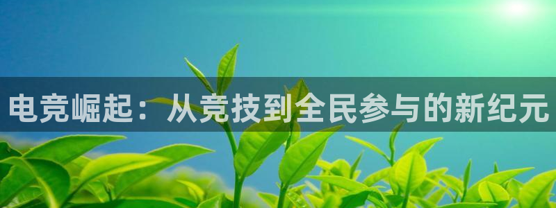 csgo完美电竞：电竞崛起：从竞技到全民参与的新纪元